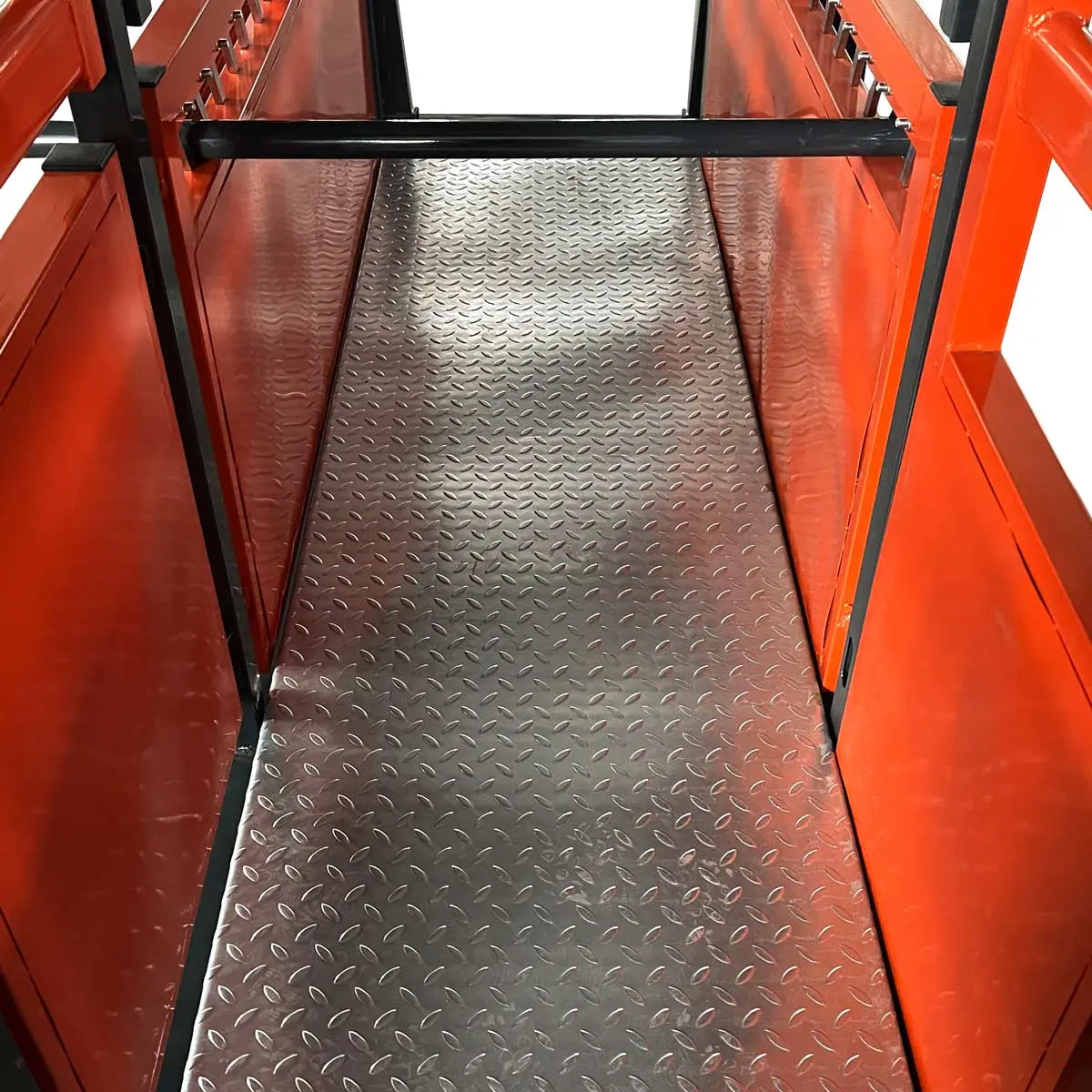 10' Cattle Work Chute 4500-lb Weight Scale, Side Exit, Upper/Lower Swing Openings, LCD Weight Display, TMG-CSC10 - Image 10