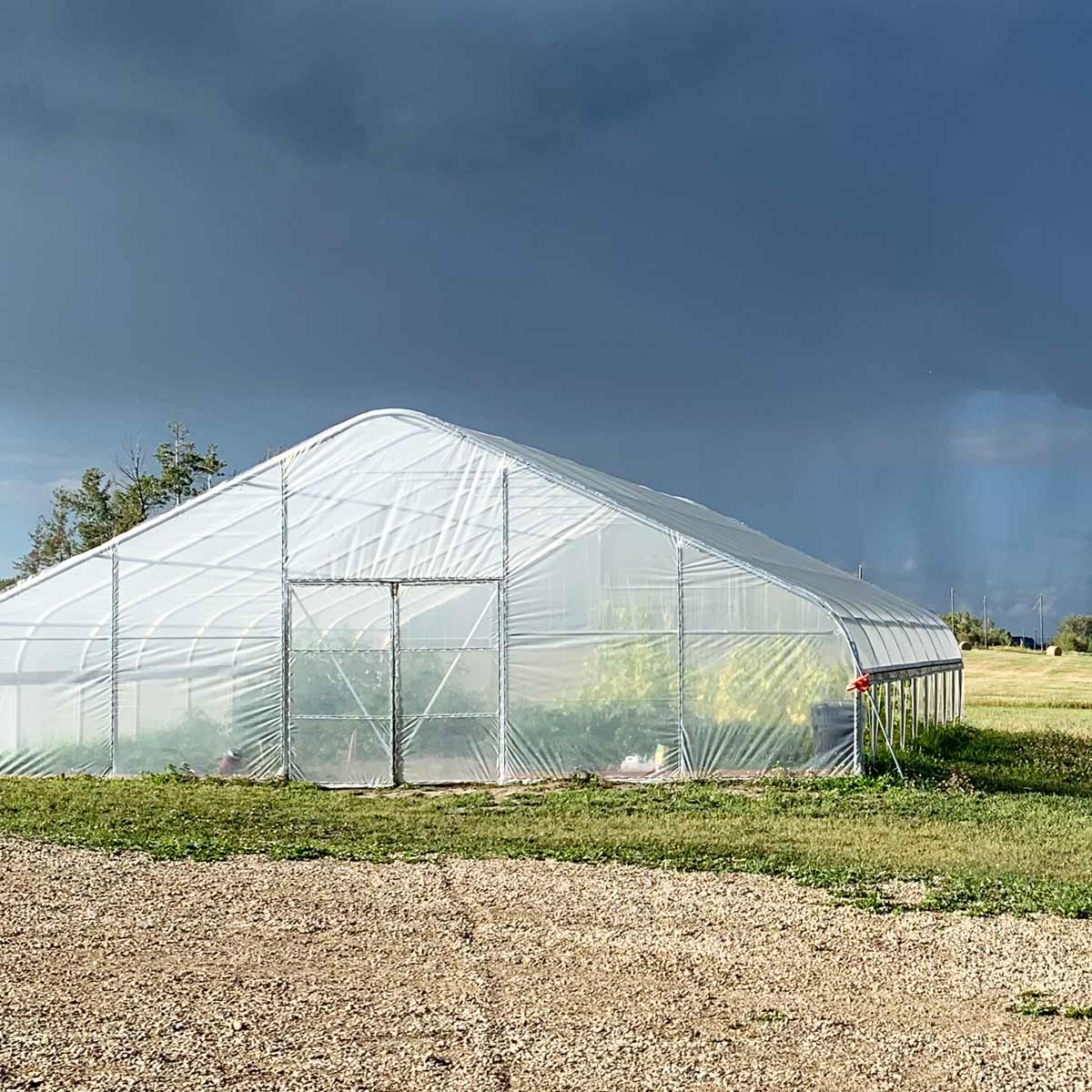 30' x 40' Tunnel Greenhouse Grow Tent w/6 Mil Clear EVA Plastic Film, Cold Frame, Hand Crank Roll-Up Sides, Peak Ceiling Roof, TMG-GH3040 - Image 3