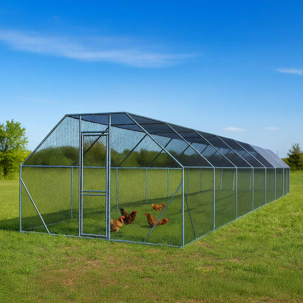 10' x 60' Wire Mesh Chicken Run Shelter Coop, Galvanized Steel, 600 Sq-Ft, Lockable Gate, PVC Coated Mesh, TMG-CRS1060 - Image 3